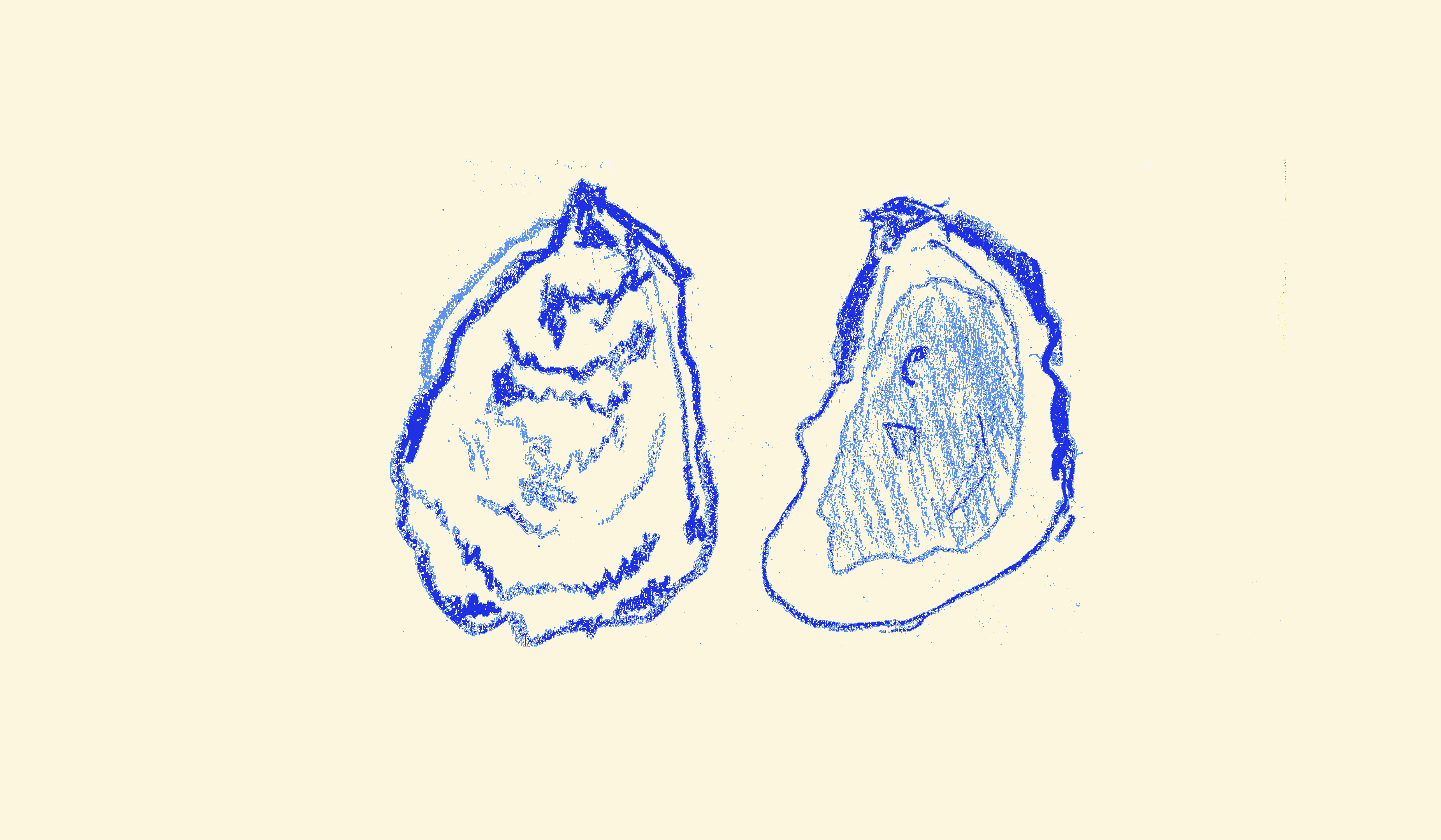 Footer image
