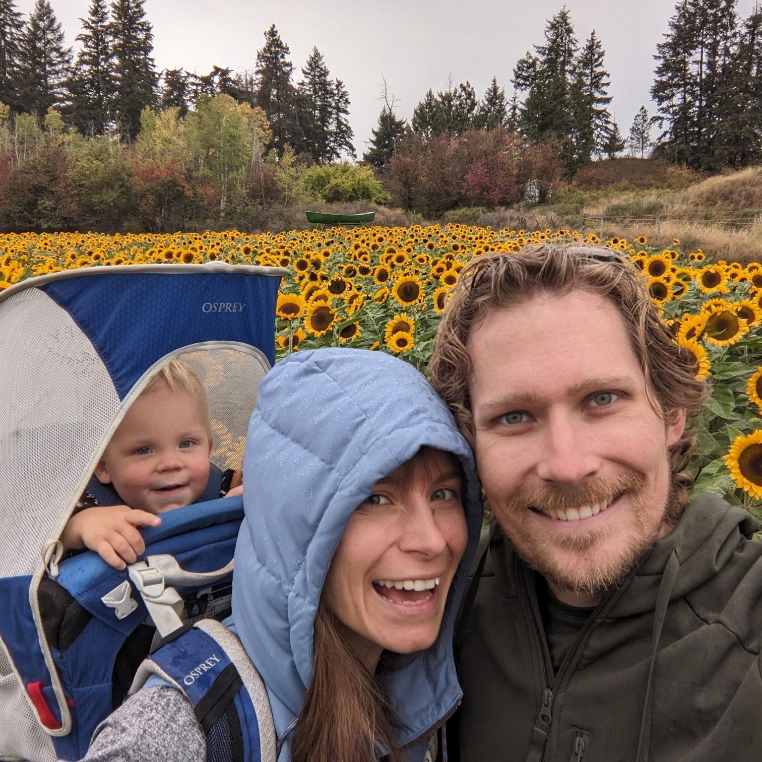 Sunflower Festival 2024