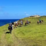 HORSEBACK RIDING BY THE ATLANTIC SHORES