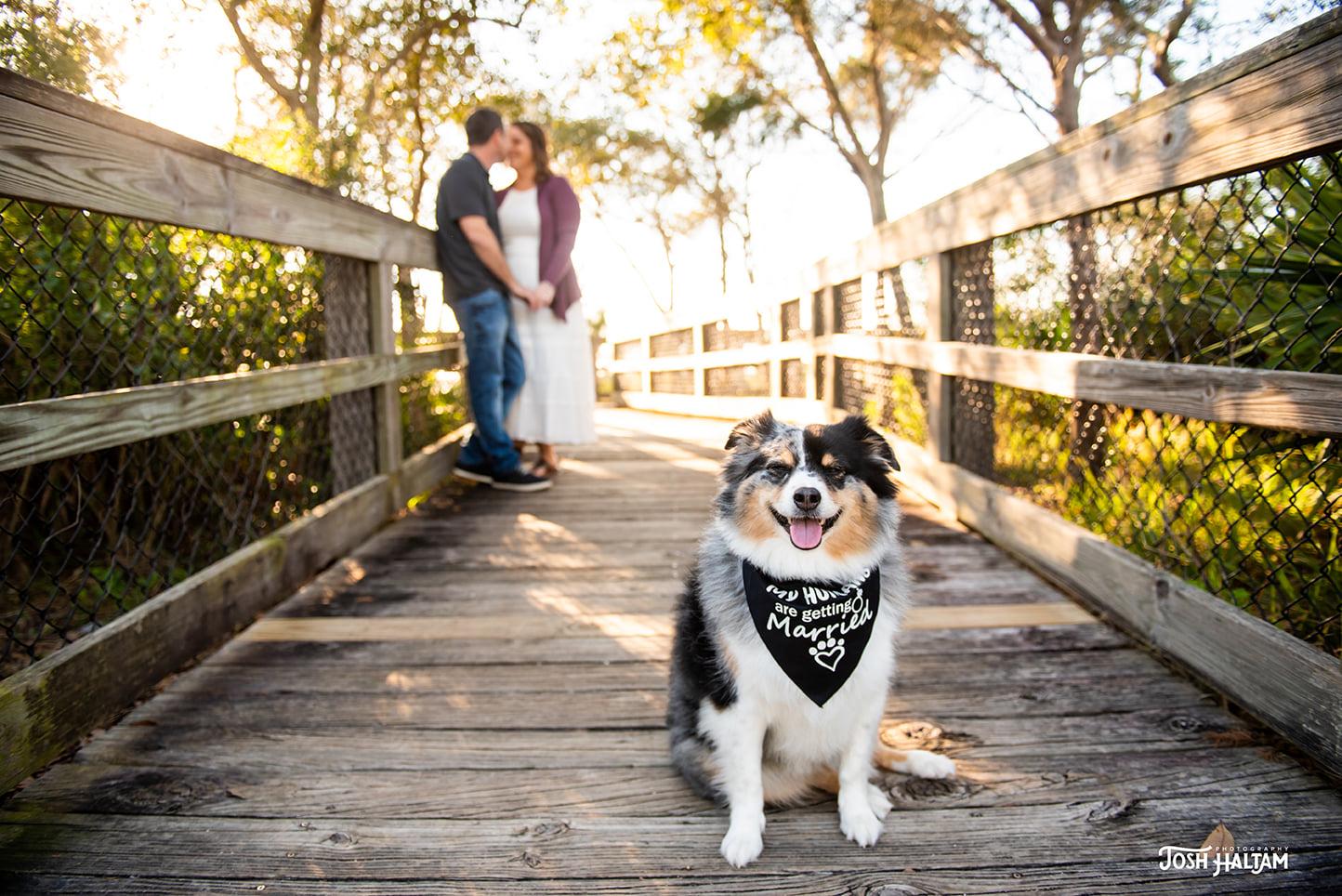 The Wedding Website of NICOLE AKRAS and DENNIS BAKER
