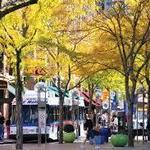 The Sixteenth Street Fair