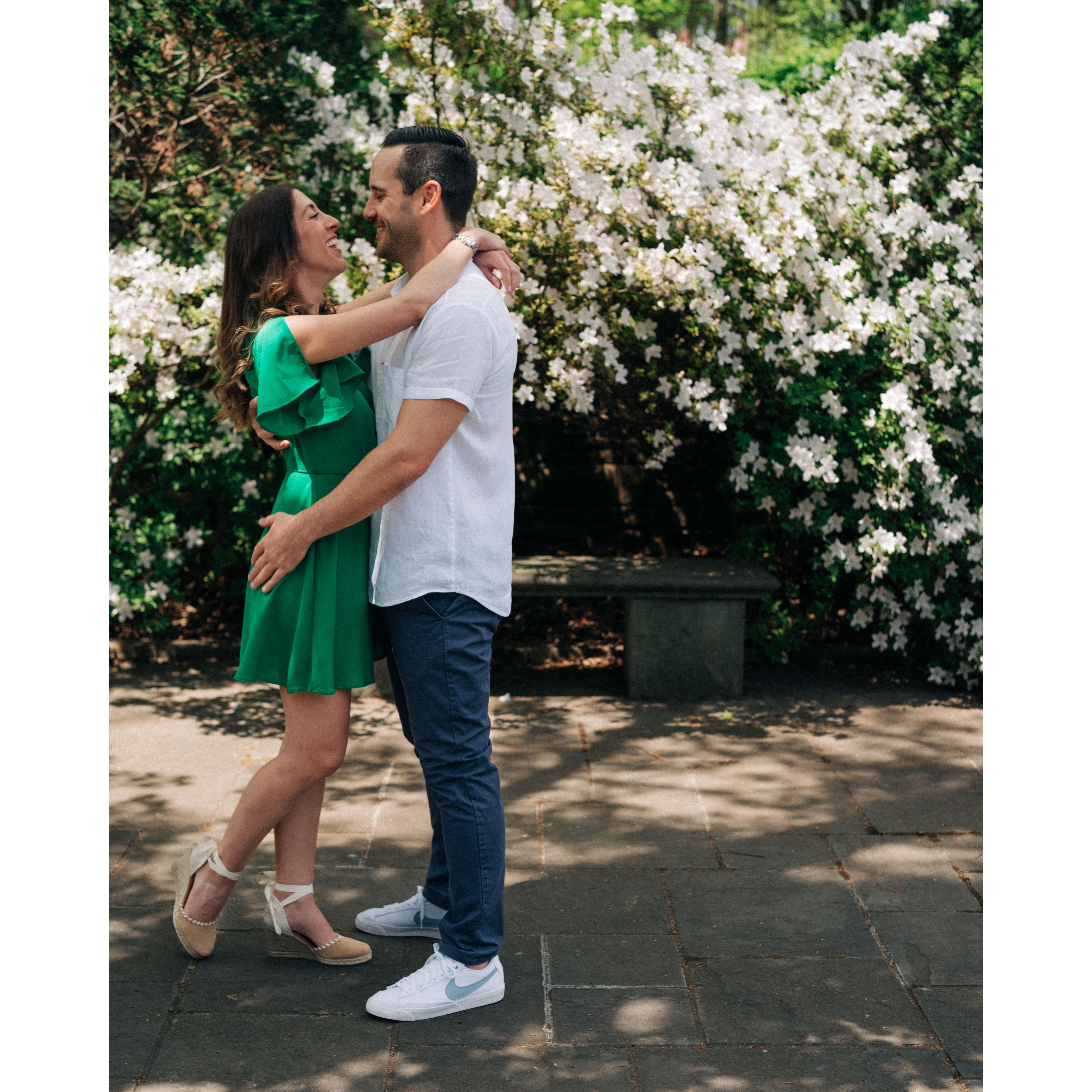 Brooklyn botanic garden