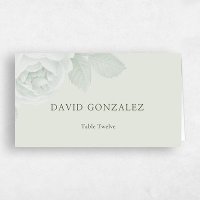Light Green Wedding Place Card - Milna