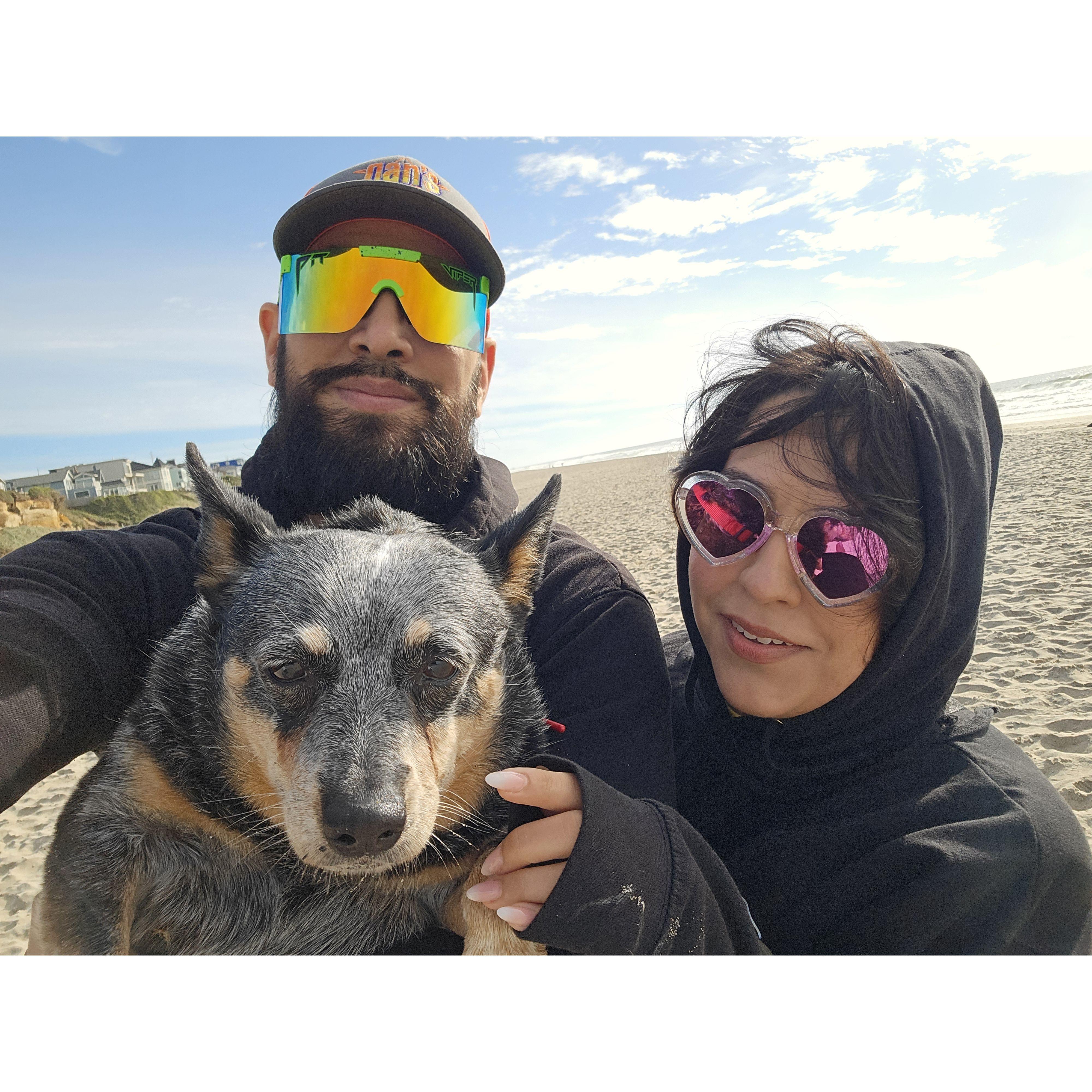 Hanging out at the beach in Lincoln City with Kiva.