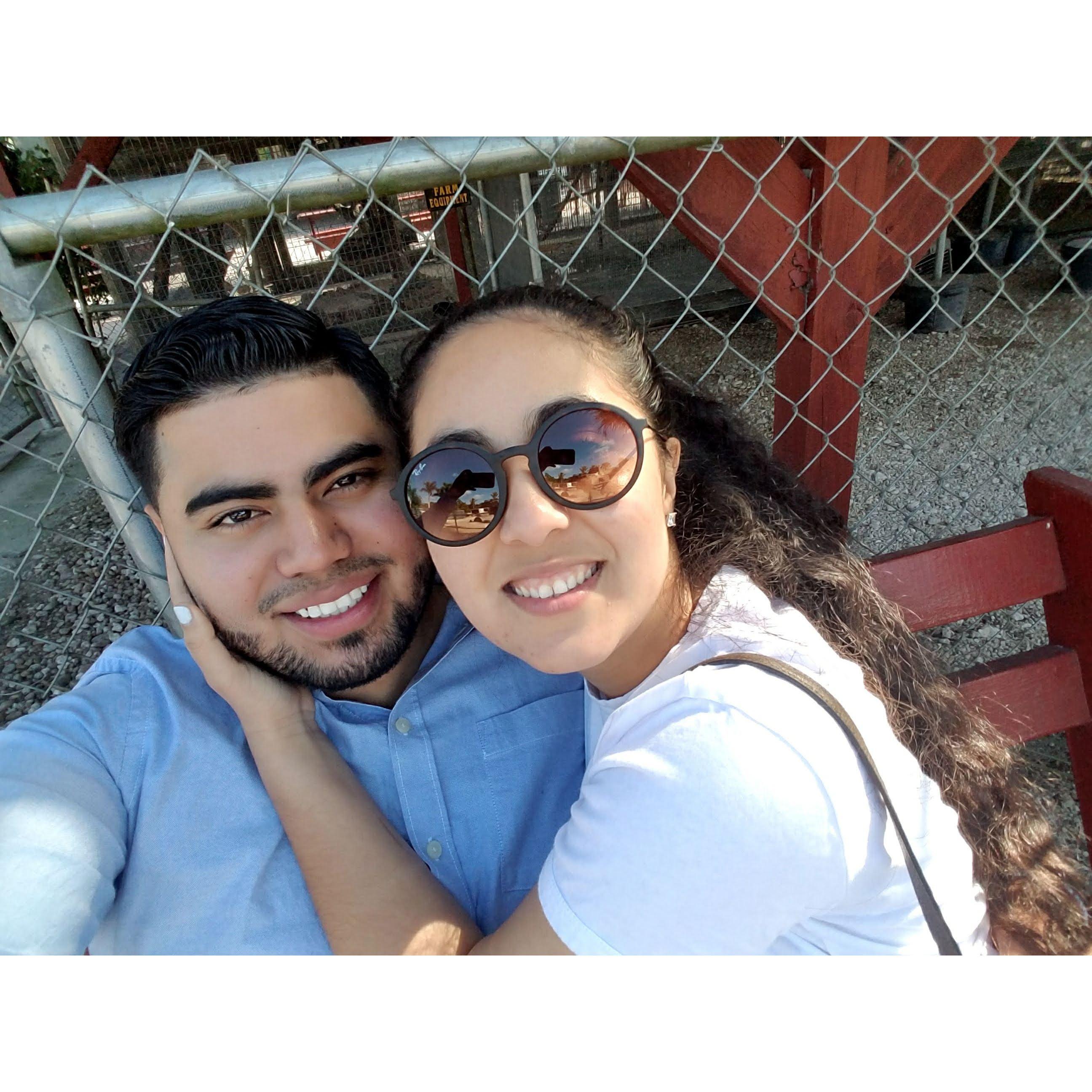 Trip to Robert is Here!