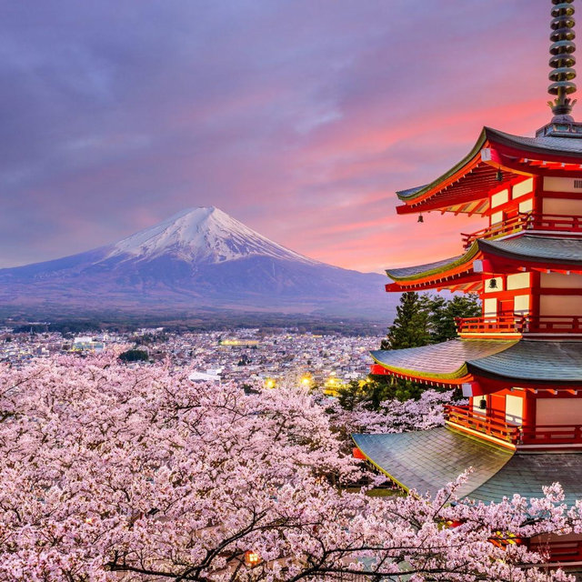 Honeymoon to Japan