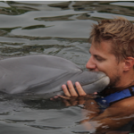 Dolphins Plus Marine Mammal Responder