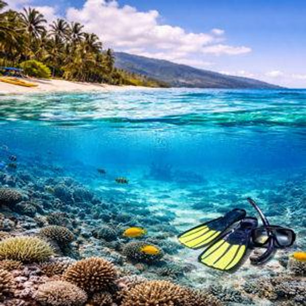 Snorkeling in Paradise