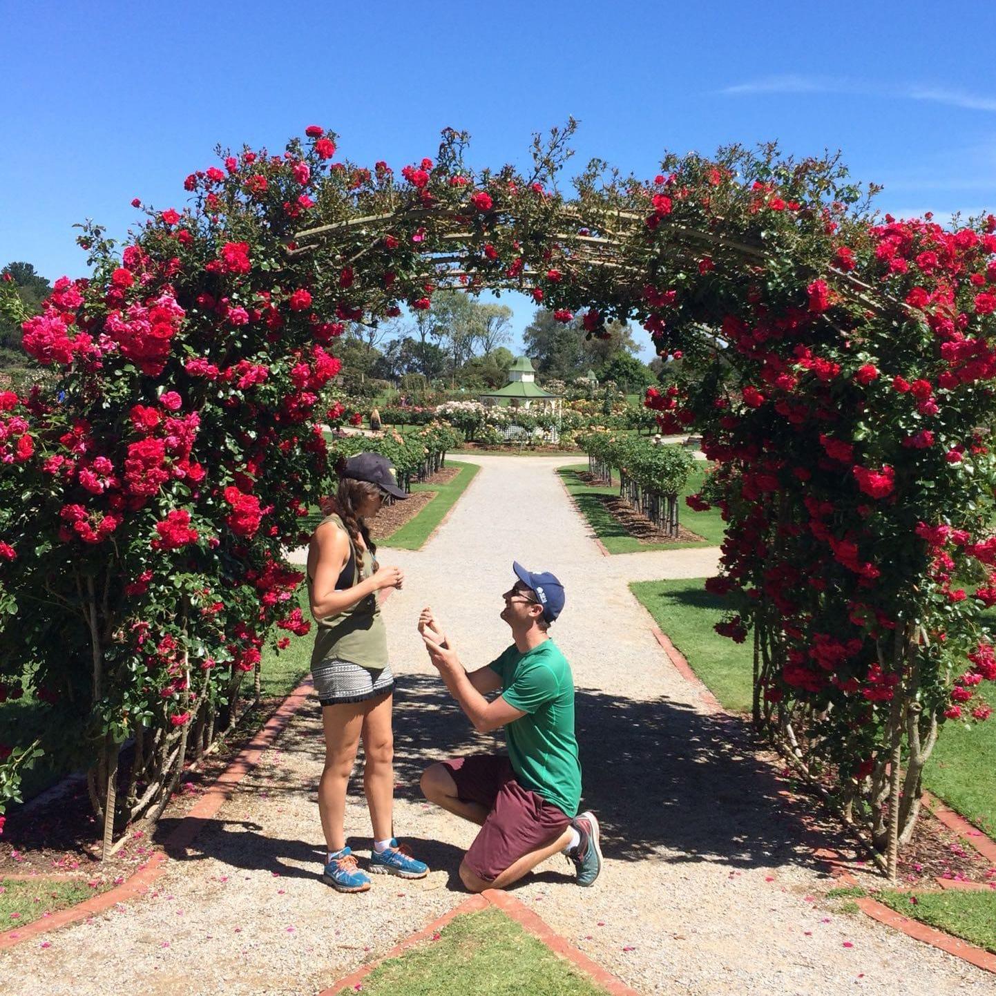 Victoria Rose Garden, Australia, December 12th 2017 ❤️