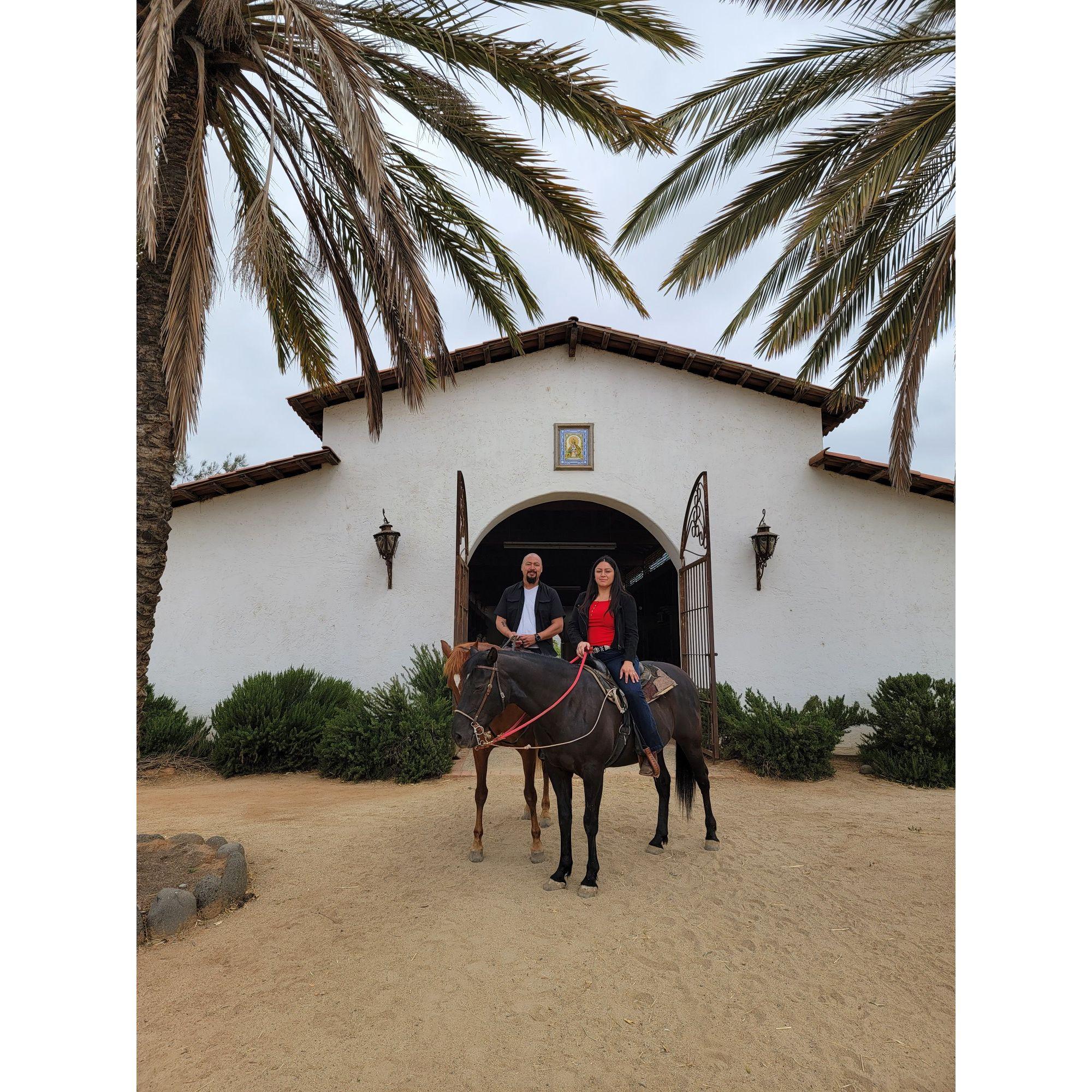 Valle De Guadalupe, TJ