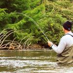 Fishing at Brasstown Valley