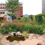 Madison Children's Museum
