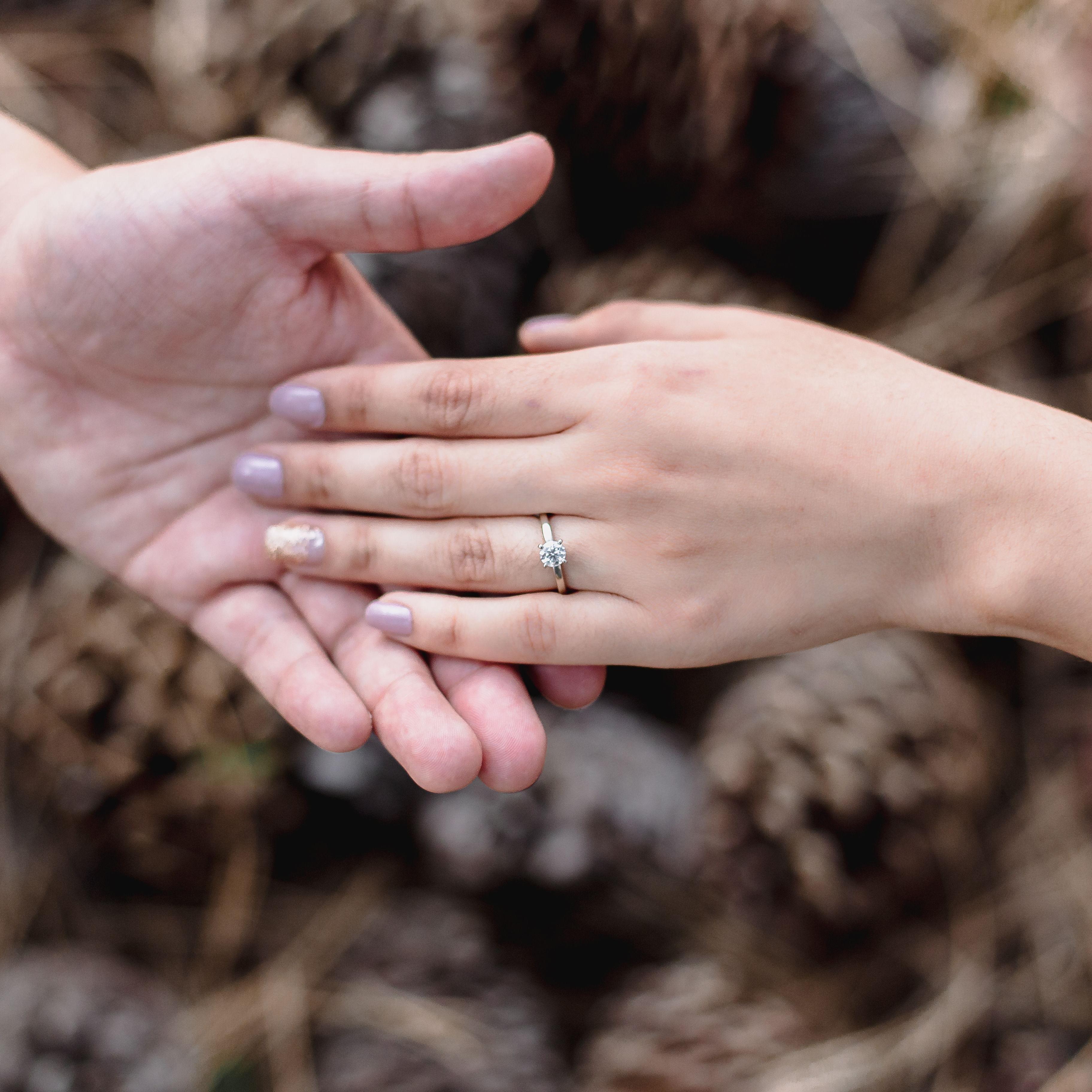 Hero Slideshow Image 0