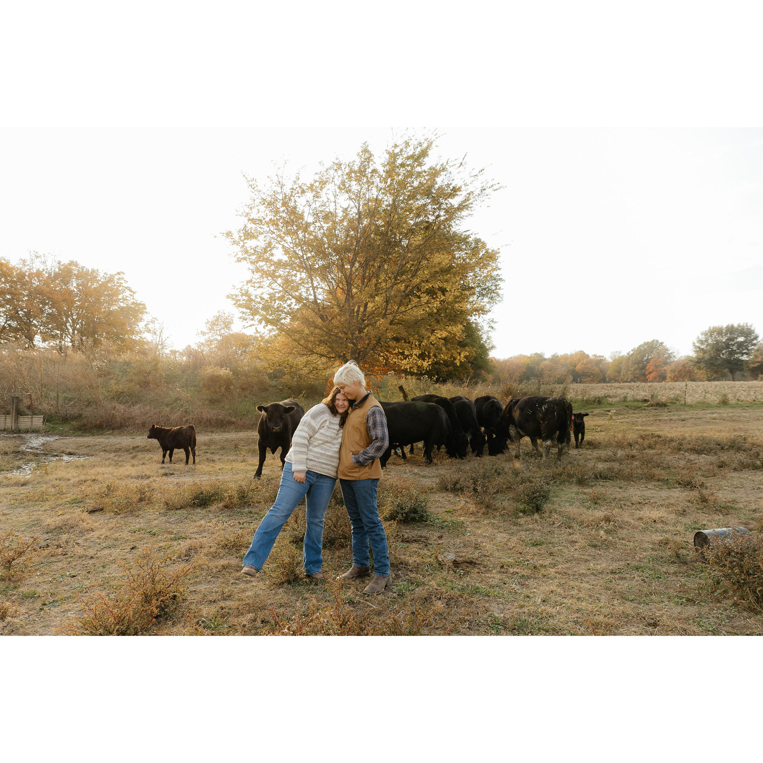 I'll love you till the cows come home - 2024