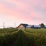 Newport Vineyards