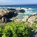 Marginal Way