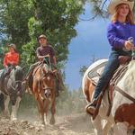 Grindstone Stables