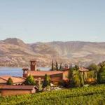 Wine Tasting