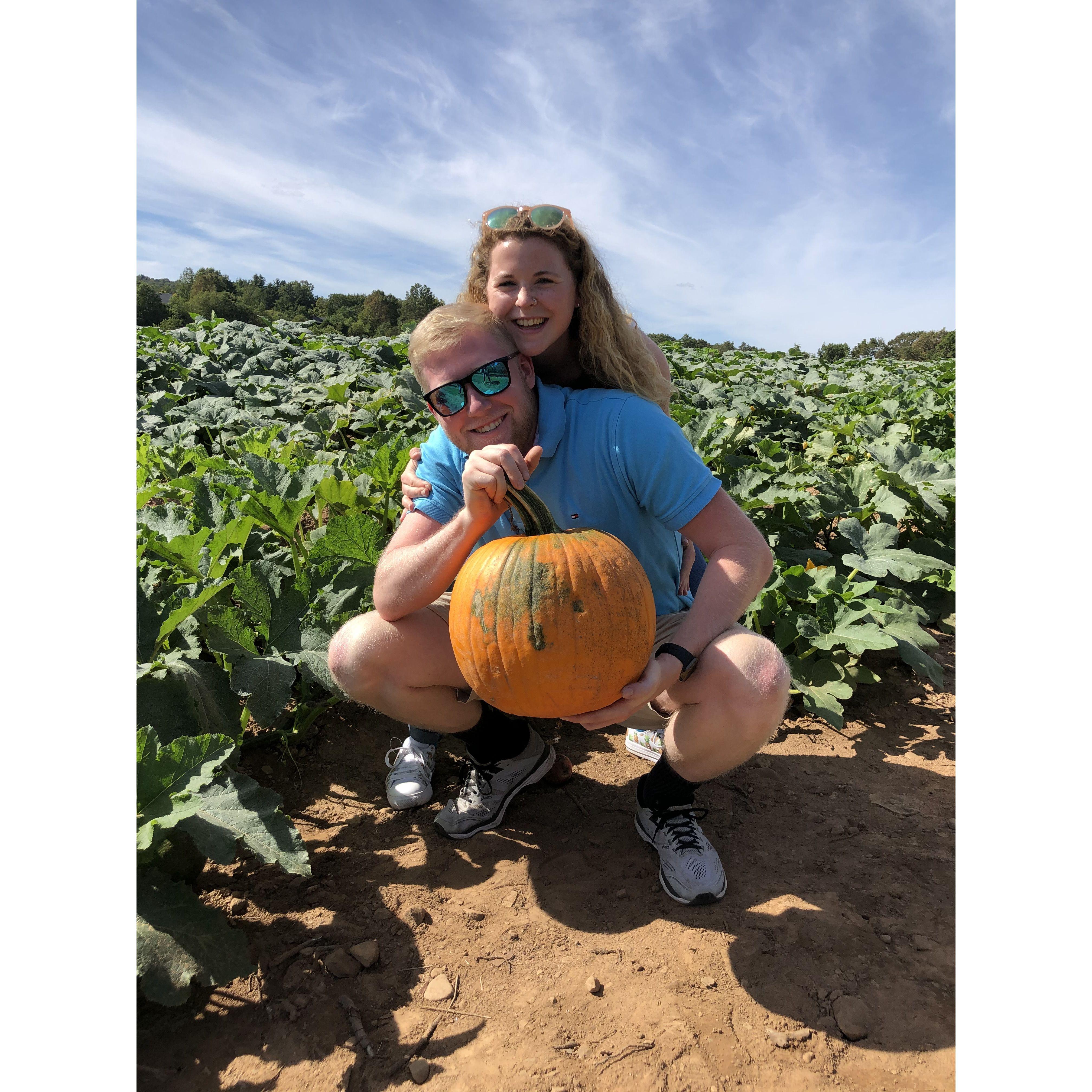 Picking pumpkins for our first apartment together.