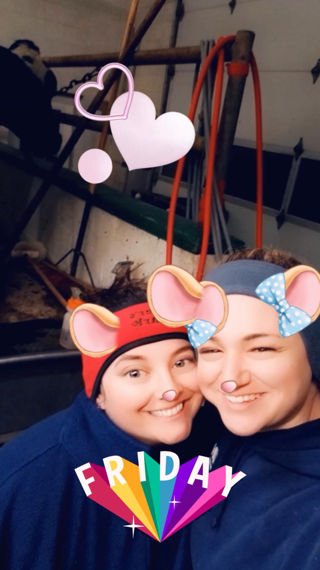 Cleaning up the milking parlor