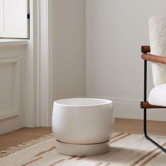 Wilcox Planter, Medium