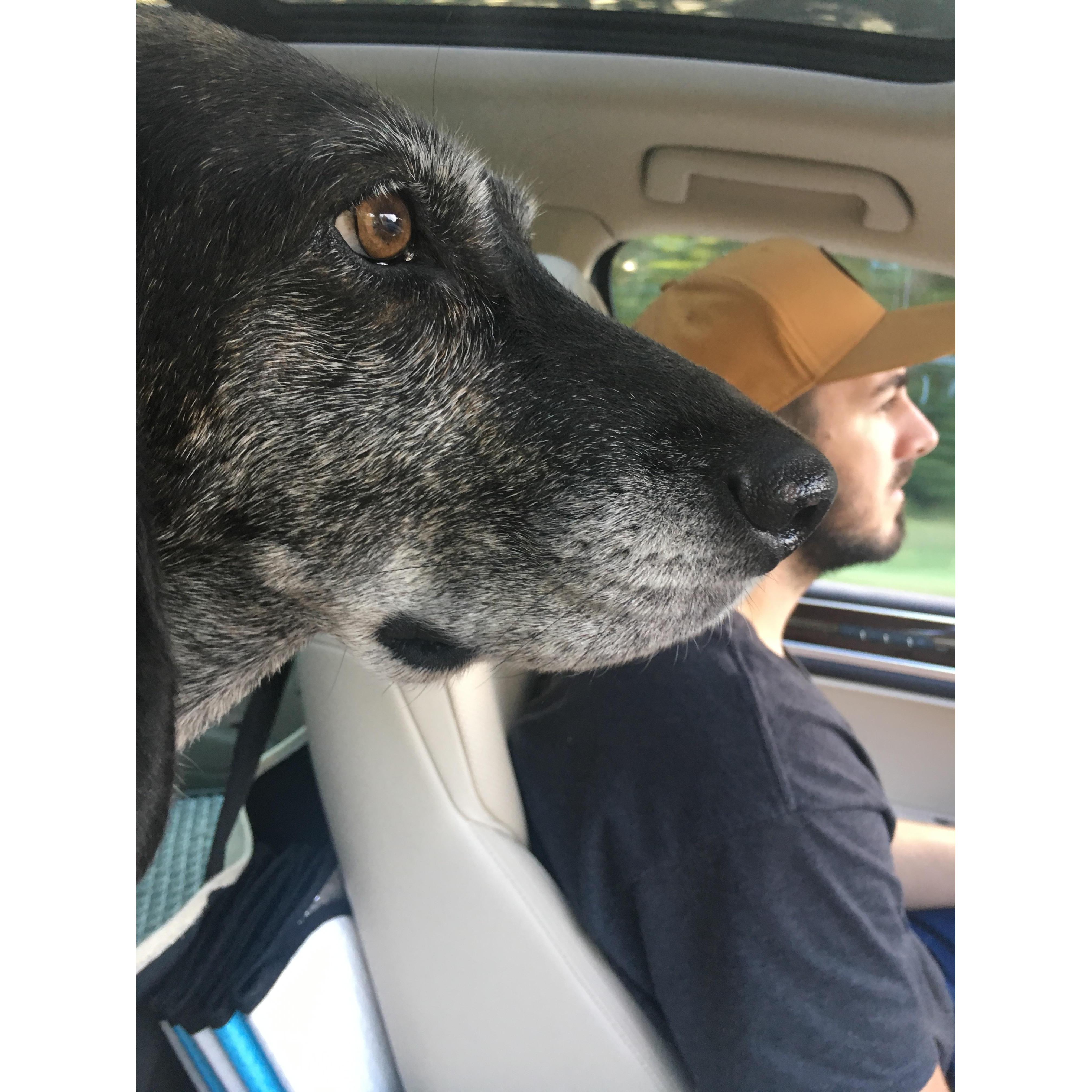 Roadtrip!