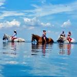 Cypress Breeze Farm - Trail Riding and Beach Riding