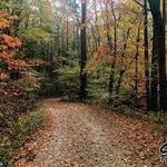 Hard Times Trailhead