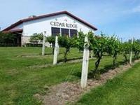 Cedar Ridge Winery & Distillery