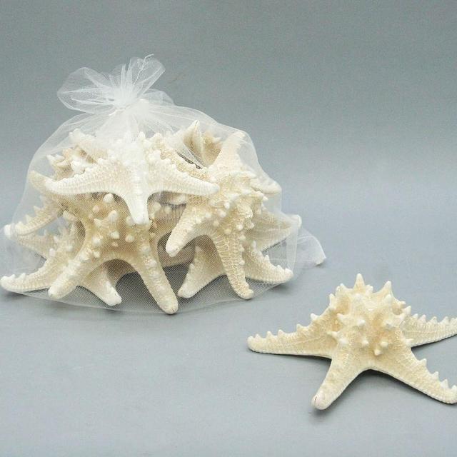 Knobby Starfish, Set of 8