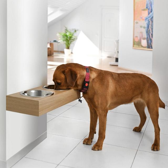 Wall Mounted Dog Food Bowls
