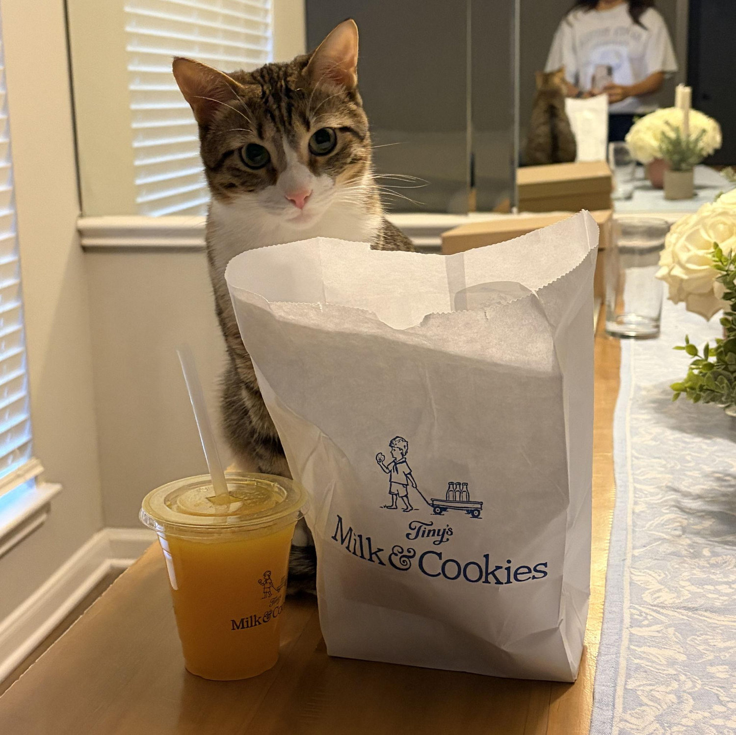 Simba hoping this breakfast is for him...