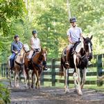 Happy Trails Horseback Riding