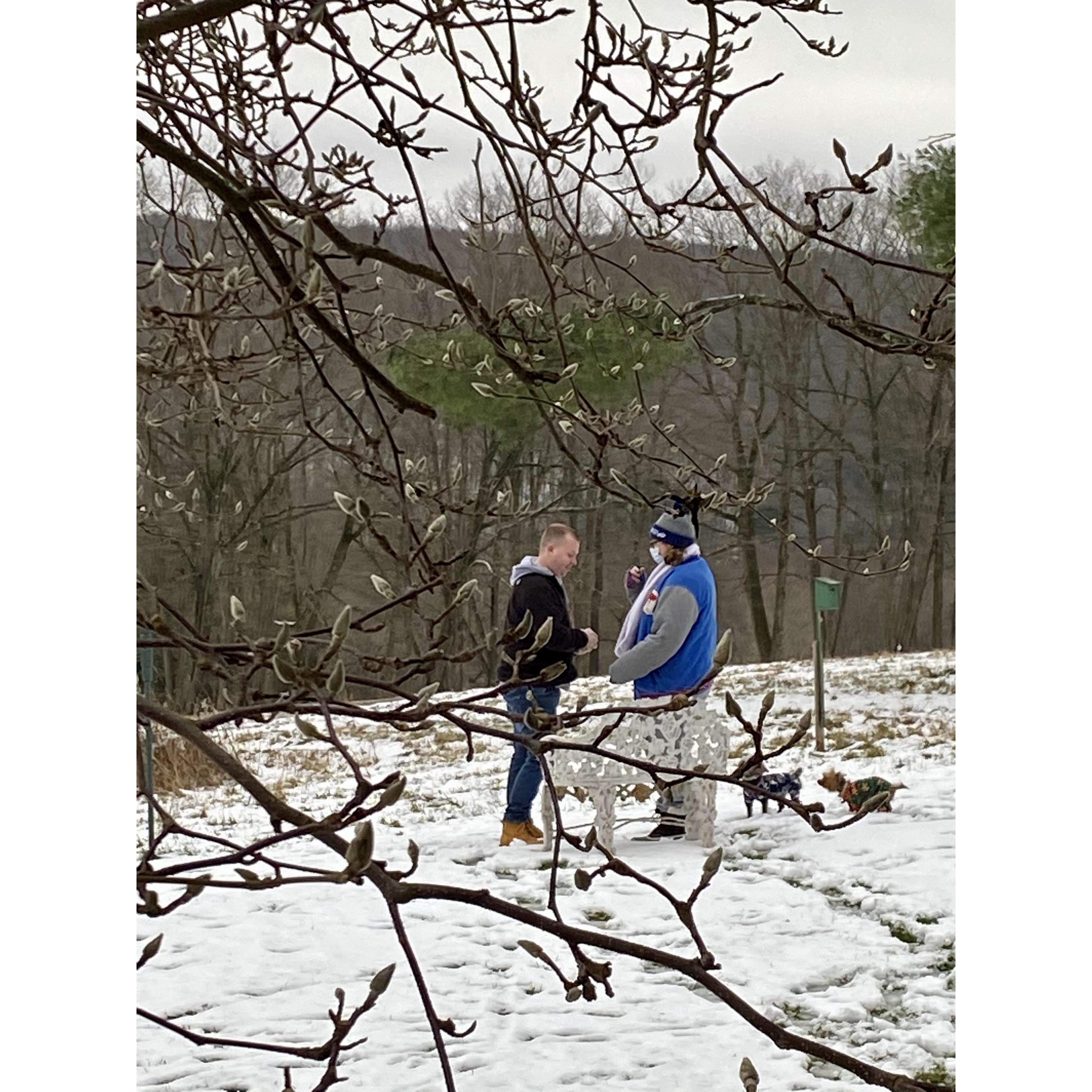 Engagement in Eden
December 20, 2020