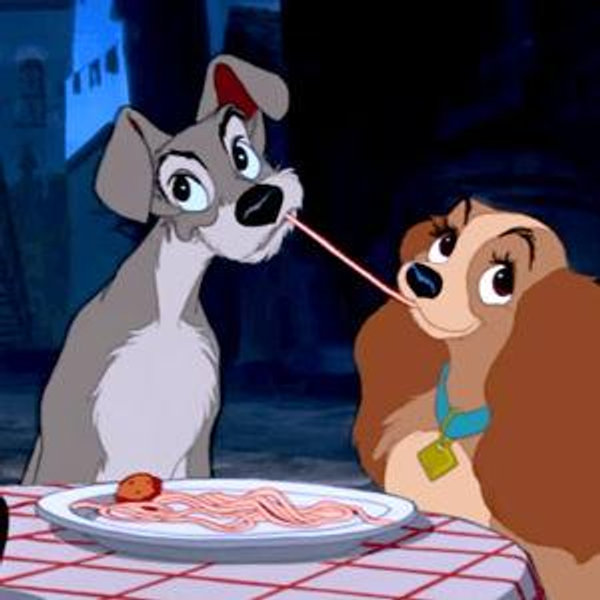 A dinner on the honeymoon