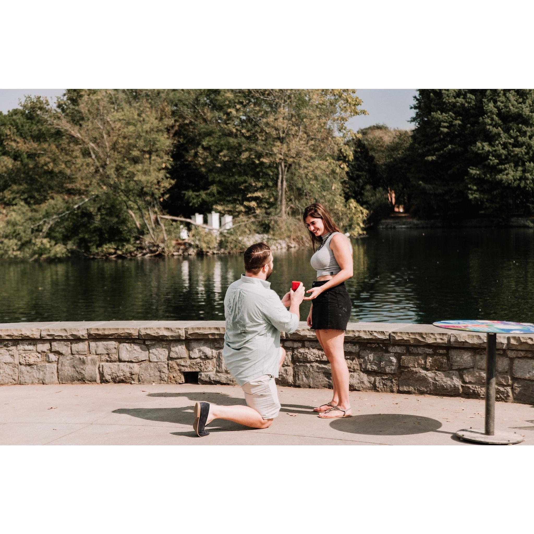 Proposal September 2019