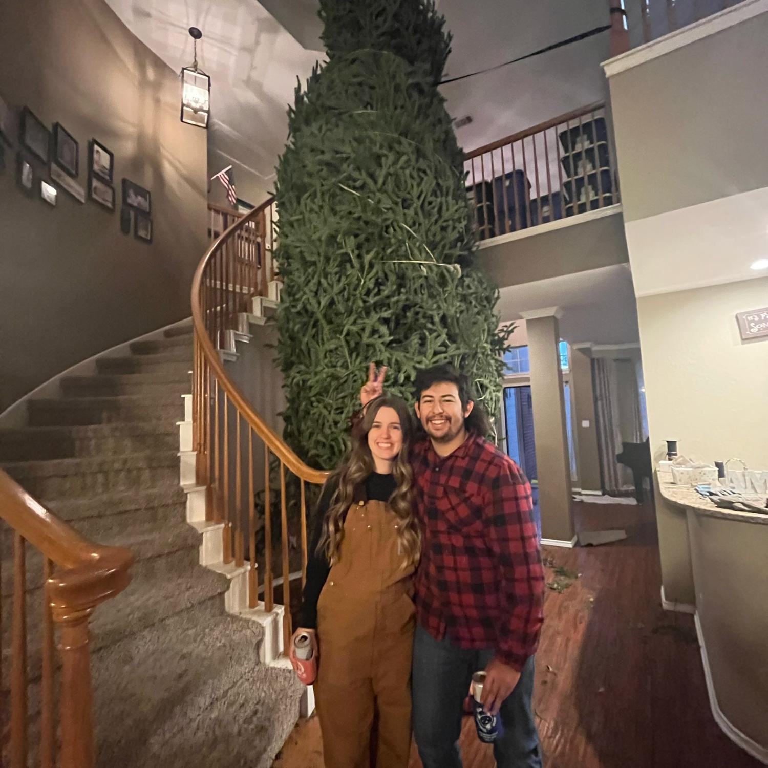 Christmas tree set up 2022