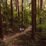 Hoyt Arboretum