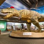 Museum of Science