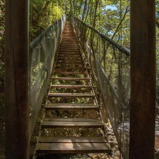 Private Horseback Ride to La Oropendola Waterfall Tour for 2 - Costa Rica