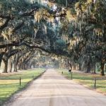 Boone Hall Plantation & Gardens
