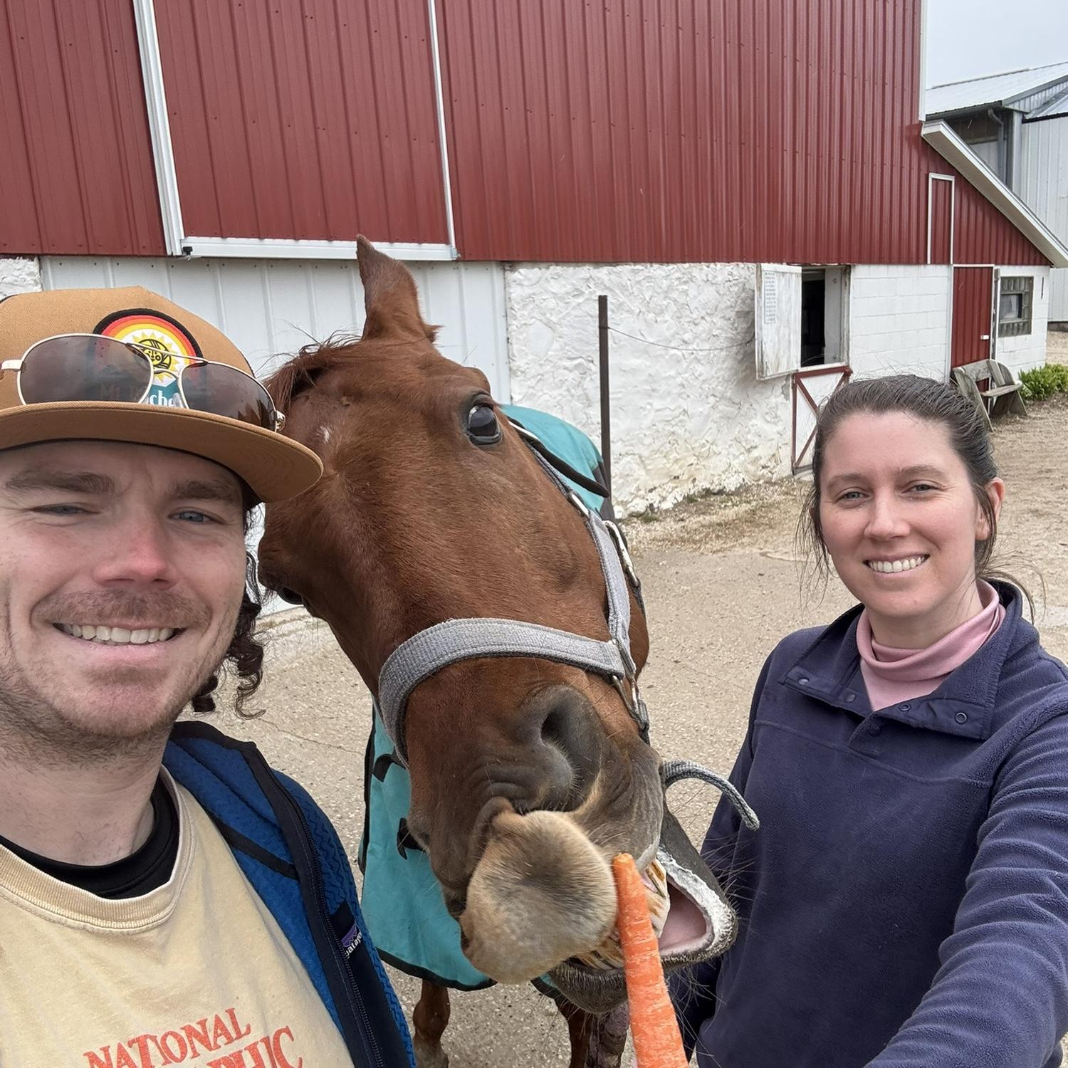 Major will accept any donations in the form of carrots!