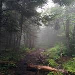 Green Mountain Adventure Challenge