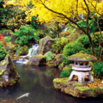 Portland Japanese Garden