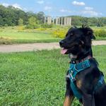 United States National Arboretum