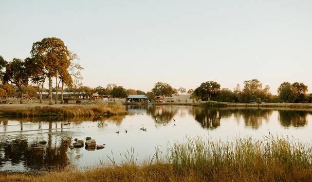 The Wedding Website of Marie Hertz and Justin Popovits