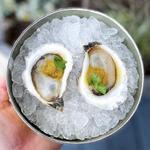 The Shop by Island Creek Oysters