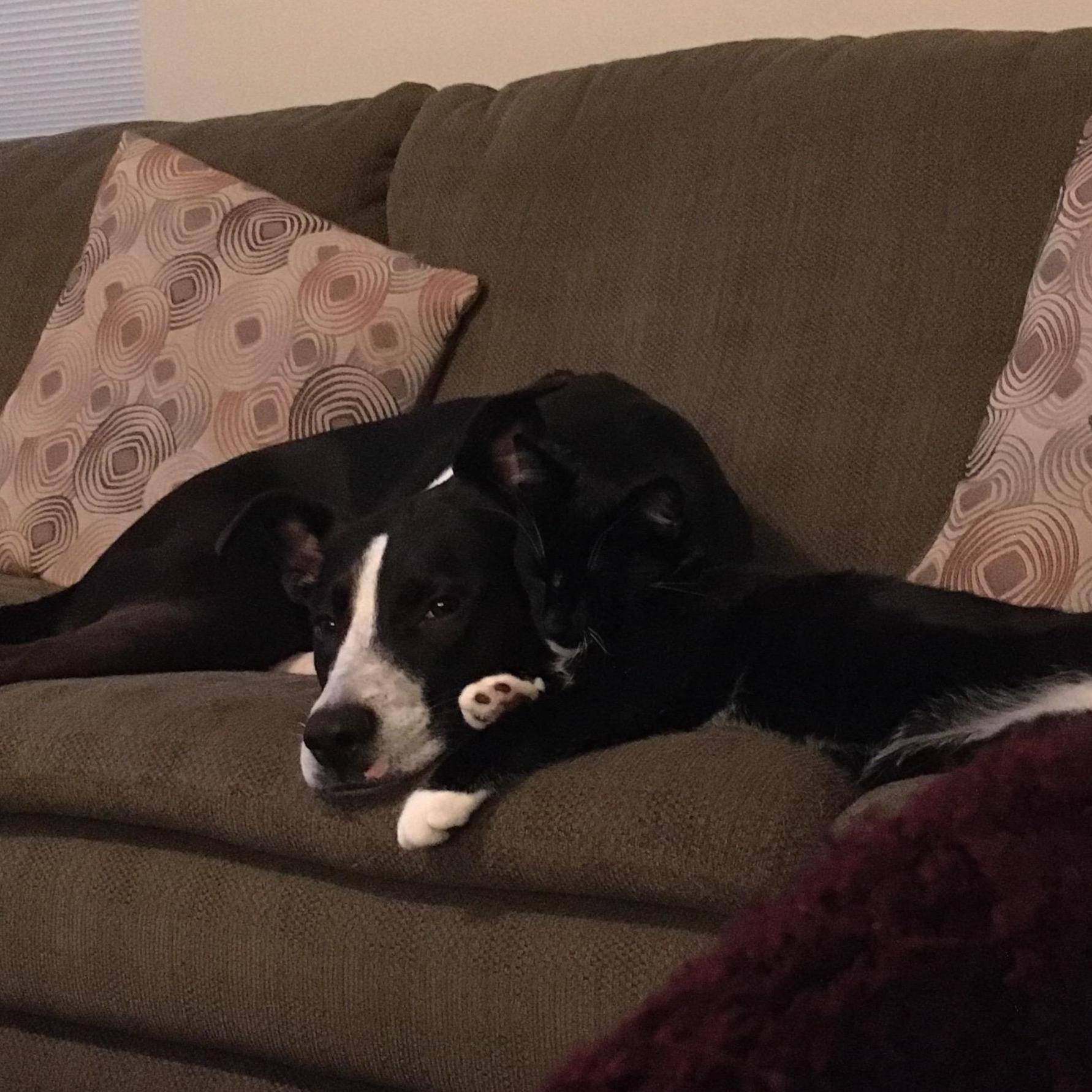 Sometimes they even like each other!