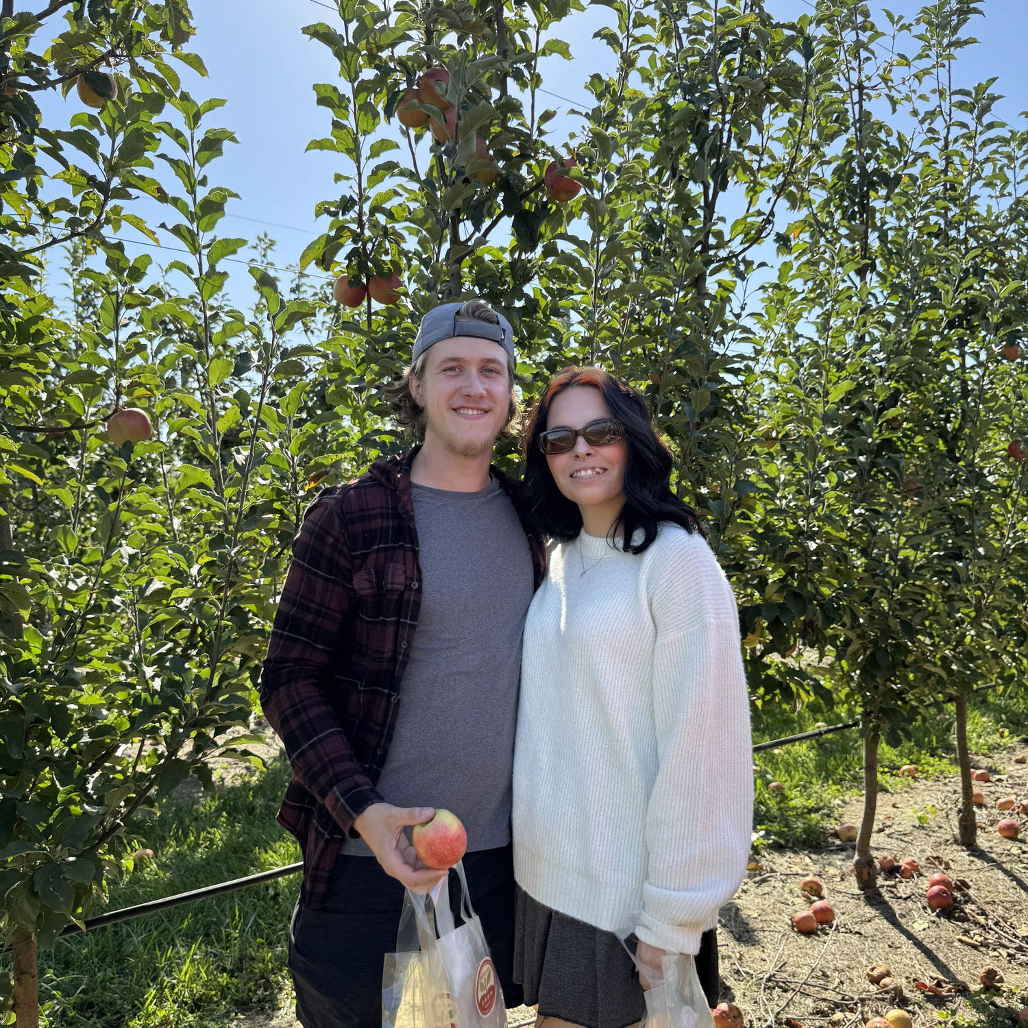 Apple picking