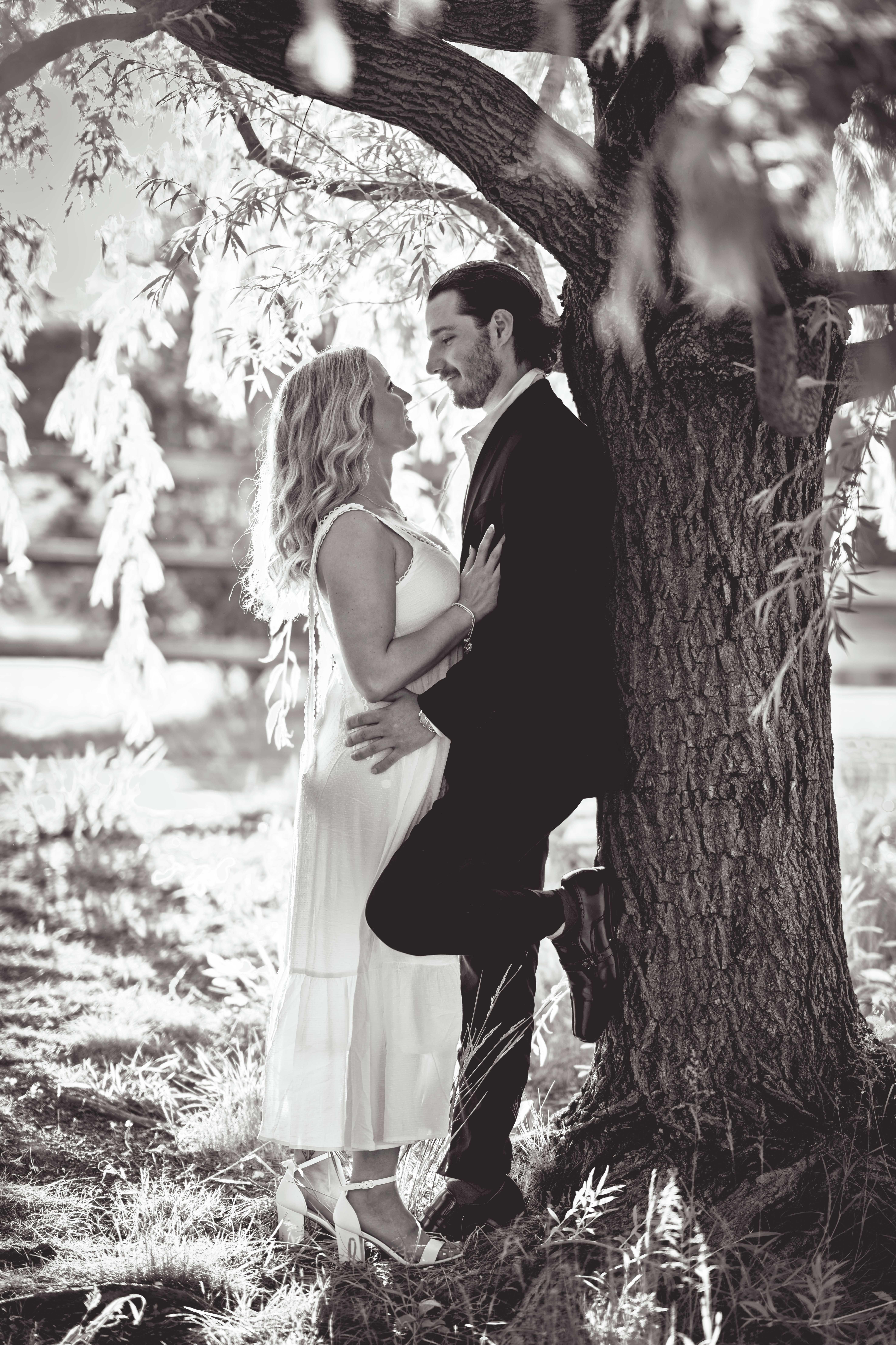 33e7321d-3870-476e-8488-4c89987377b1